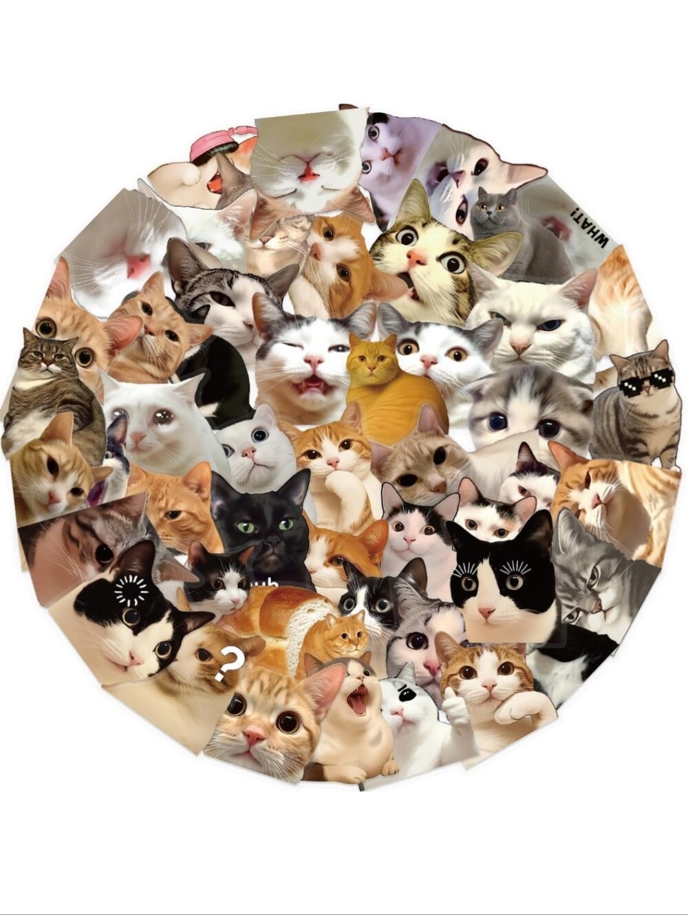 Cat Collage Round Pet Stickers Set - Multicolor by